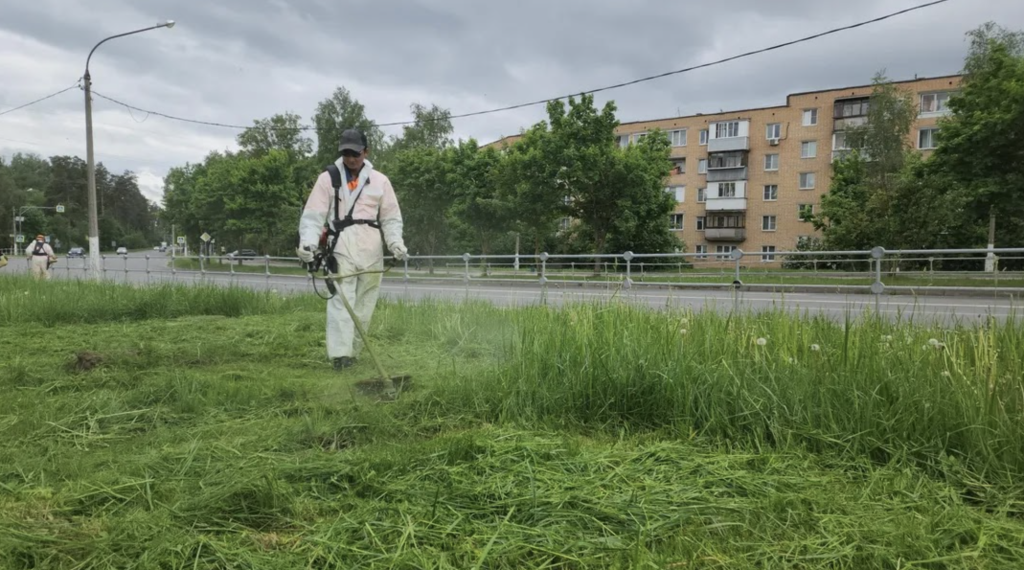 Коммунальные службы Пушкинского перешли на усиленный режим покоса травы: в Красноармейске зелень растёт очень быстро Коммунальные службы Пушкинского перешли на усиленный режим покоса травы: в Красноармейске зелень растёт очень быстро