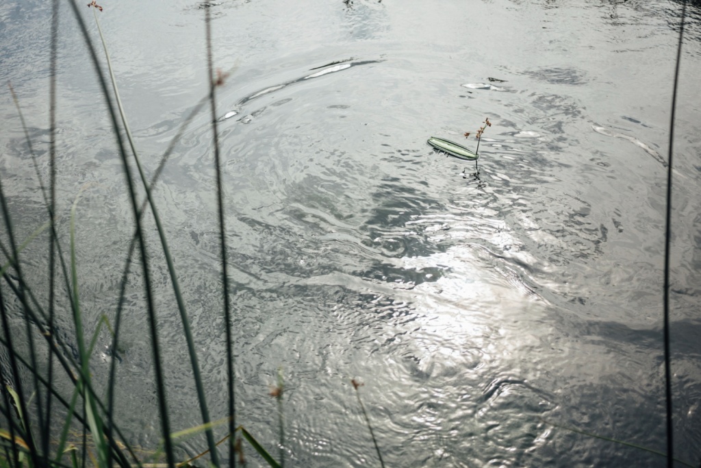 Ситуация с паводками в Югре находится на постоянном контроле