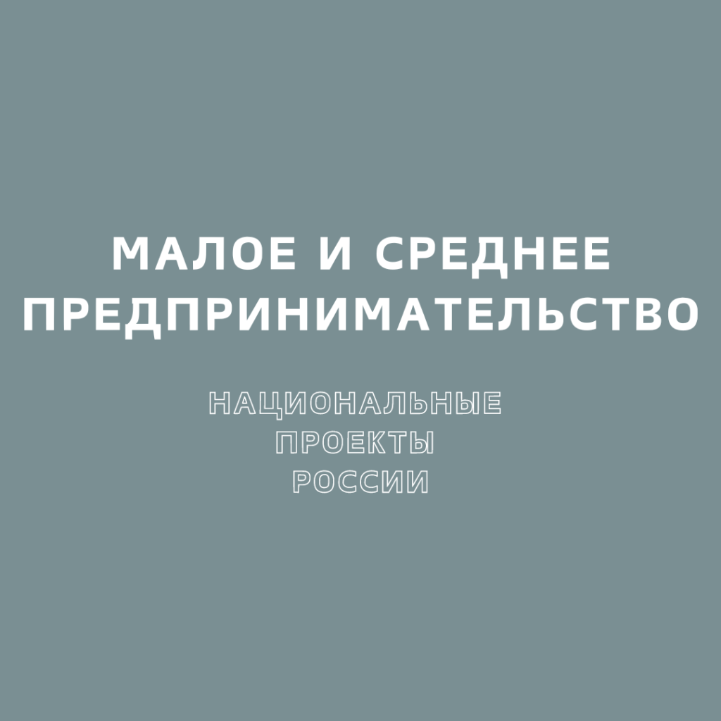 Самозанятые в Мордовии всё активнее участвуют в госзакупках