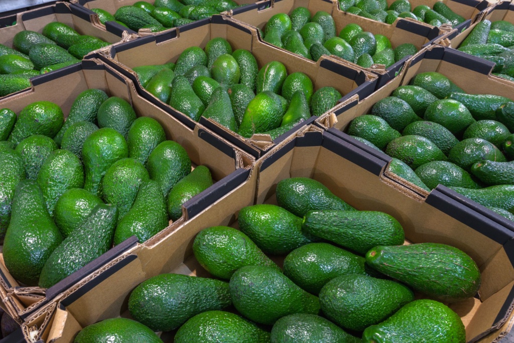 Экспорт сельскохозяйственной продукции из Южной Африки вырос на 10% благодаря росту поставок в США
