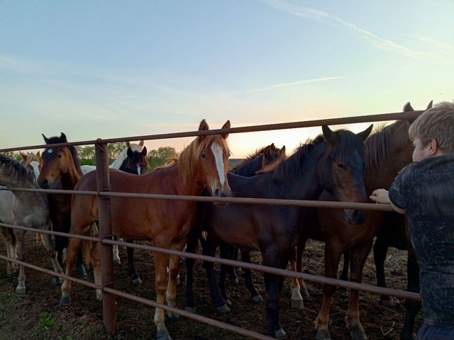 Трудовая династия Кудашкиных: возрождая престиж рабочих профессий